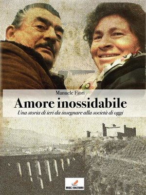 cover image of Amore Inossidabile